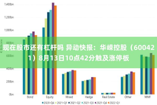 现在股市还有杠杆吗 异动快报：华嵘控股（600421）8月13日10点42分触及涨停板