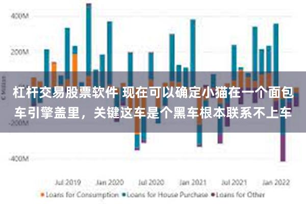 杠杆交易股票软件 现在可以确定小猫在一个面包车引擎盖里，关键这车是个黑车根本联系不上车