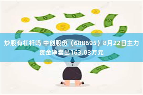 炒股有杠杆吗 中创股份（688695）8月22日主力资金净卖出163.03万元