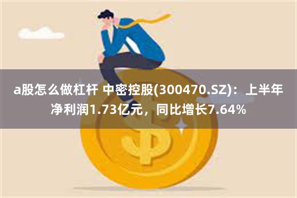 a股怎么做杠杆 中密控股(300470.SZ)：上半年净利润1.73亿元，同比增长7.64%