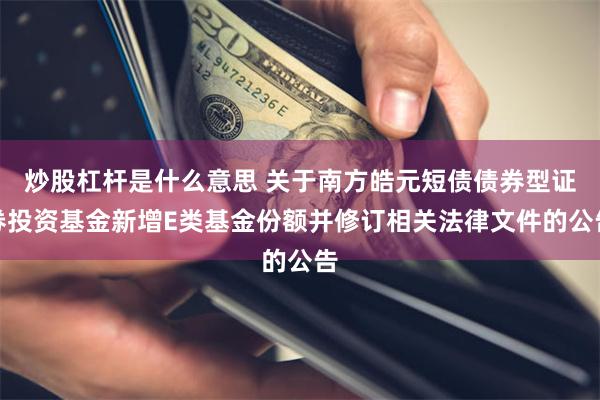 炒股杠杆是什么意思 关于南方皓元短债债券型证券投资基金新增E类基金份额并修订相关法律文件的公告