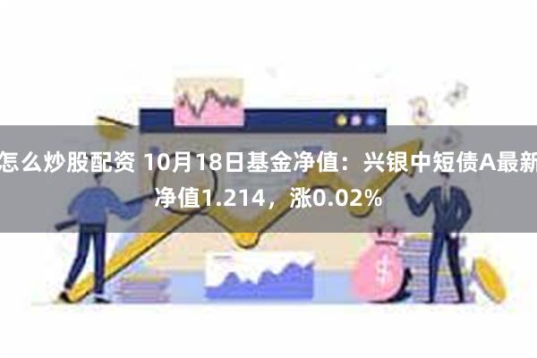 怎么炒股配资 10月18日基金净值：兴银中短债A最新净值1.214，涨0.02%