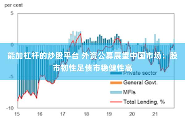 能加杠杆的炒股平台 外资公募展望中国市场：股市韧性足债市稳健性高